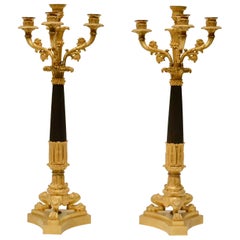 Pair of Gilt and Patinated Empire Candelabra