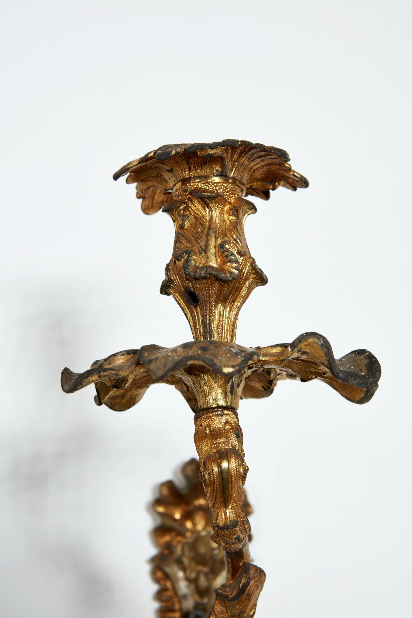 Bronzo Coppia di sconsigli rococò in ottone dorato in vendita
