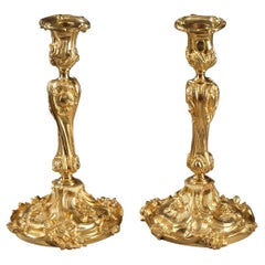 Pair of Gilt Bronze Candlesticks in Louis XV Style