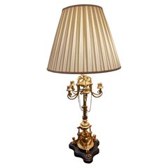 Pair of gilt bronze French lamps