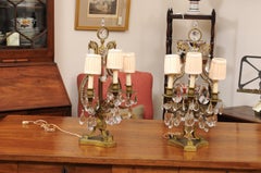 Pair of Gilt Bronze Girandoles with Lyre Shape and Crystals, 19th Century France