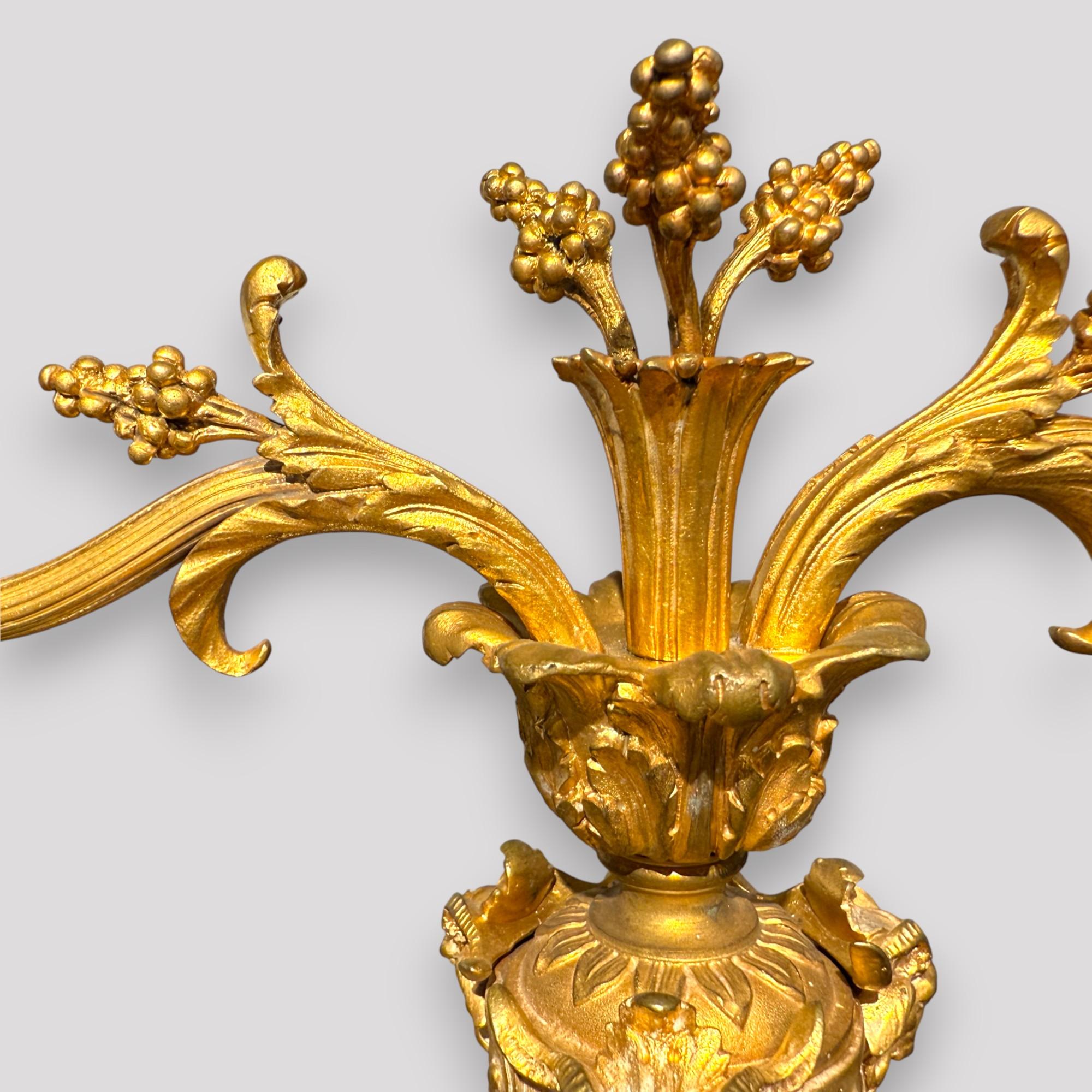 Pair of Gilt Bronze Neoclassical Candelabra Lamps, 19th Century en vente 3
