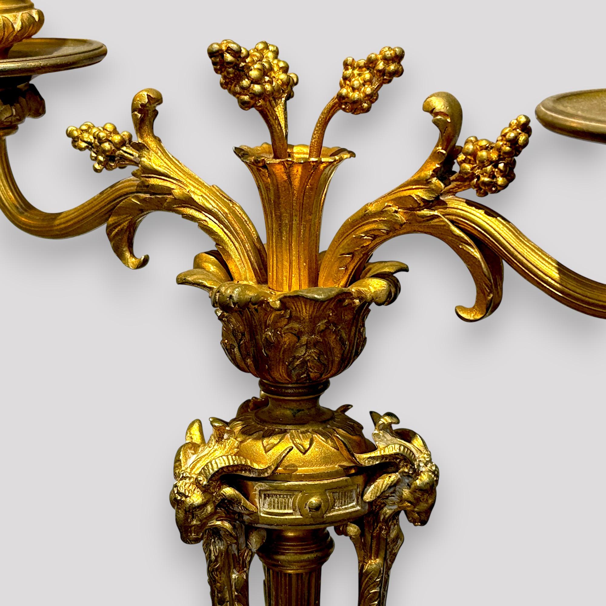Pair of Gilt Bronze Neoclassical Candelabra Lamps, 19th Century en vente 4
