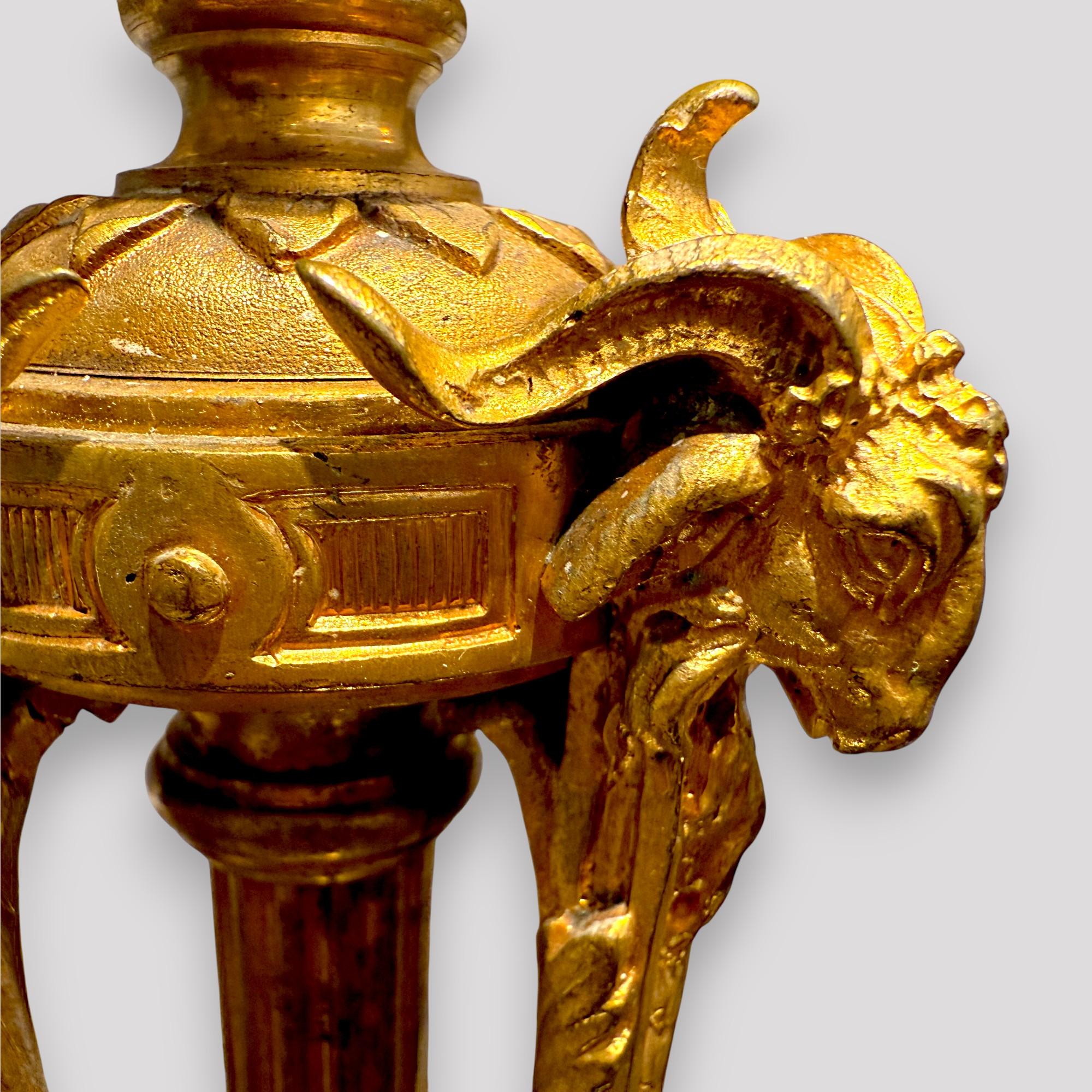 Pair of Gilt Bronze Neoclassical Candelabra Lamps, 19th Century en vente 1