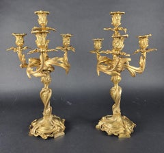 Pair Of Gilt bronze Rocaille Candelabra