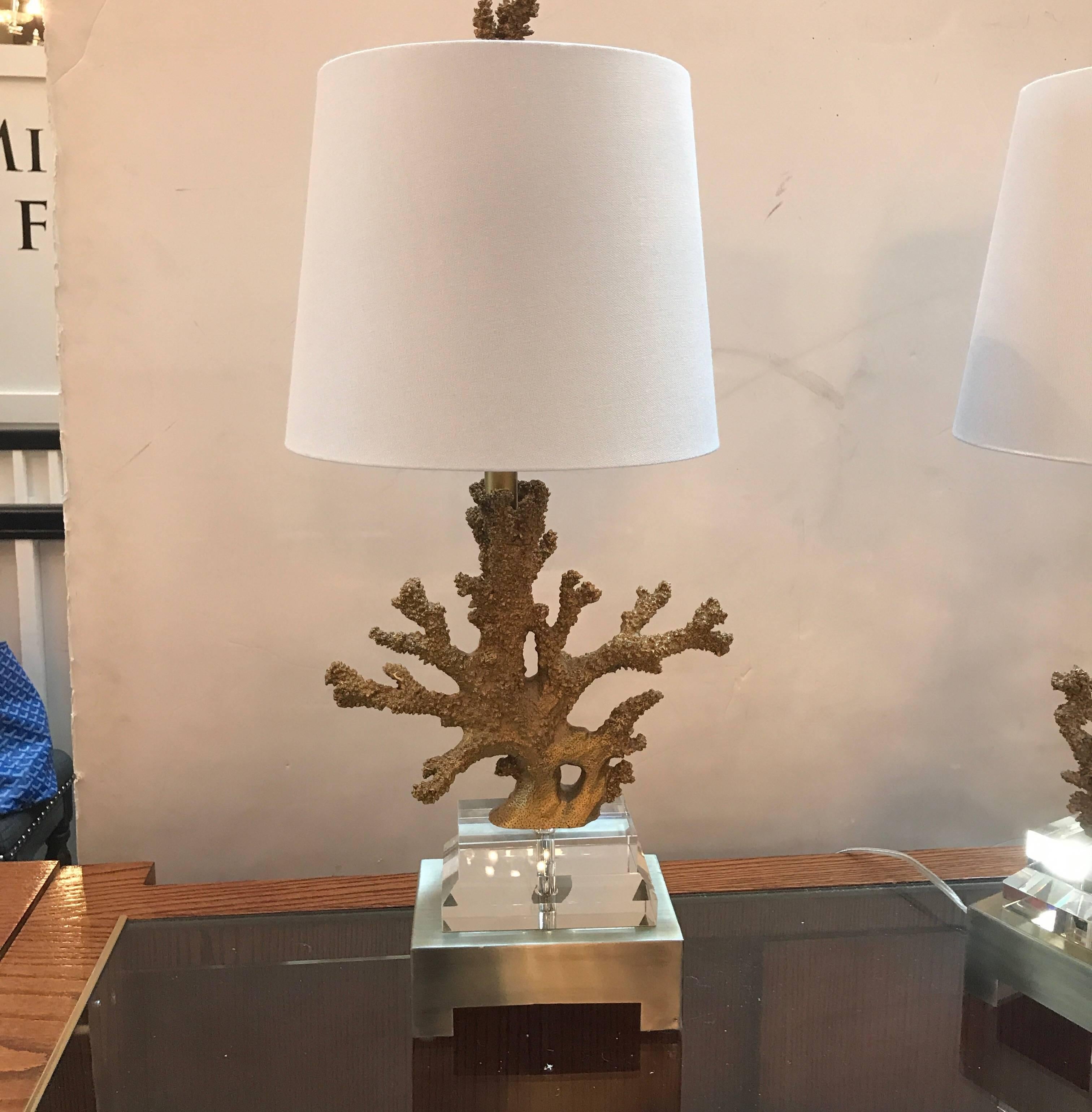 Brass Pair of Gilt Faux Coral and Lucite Lamps