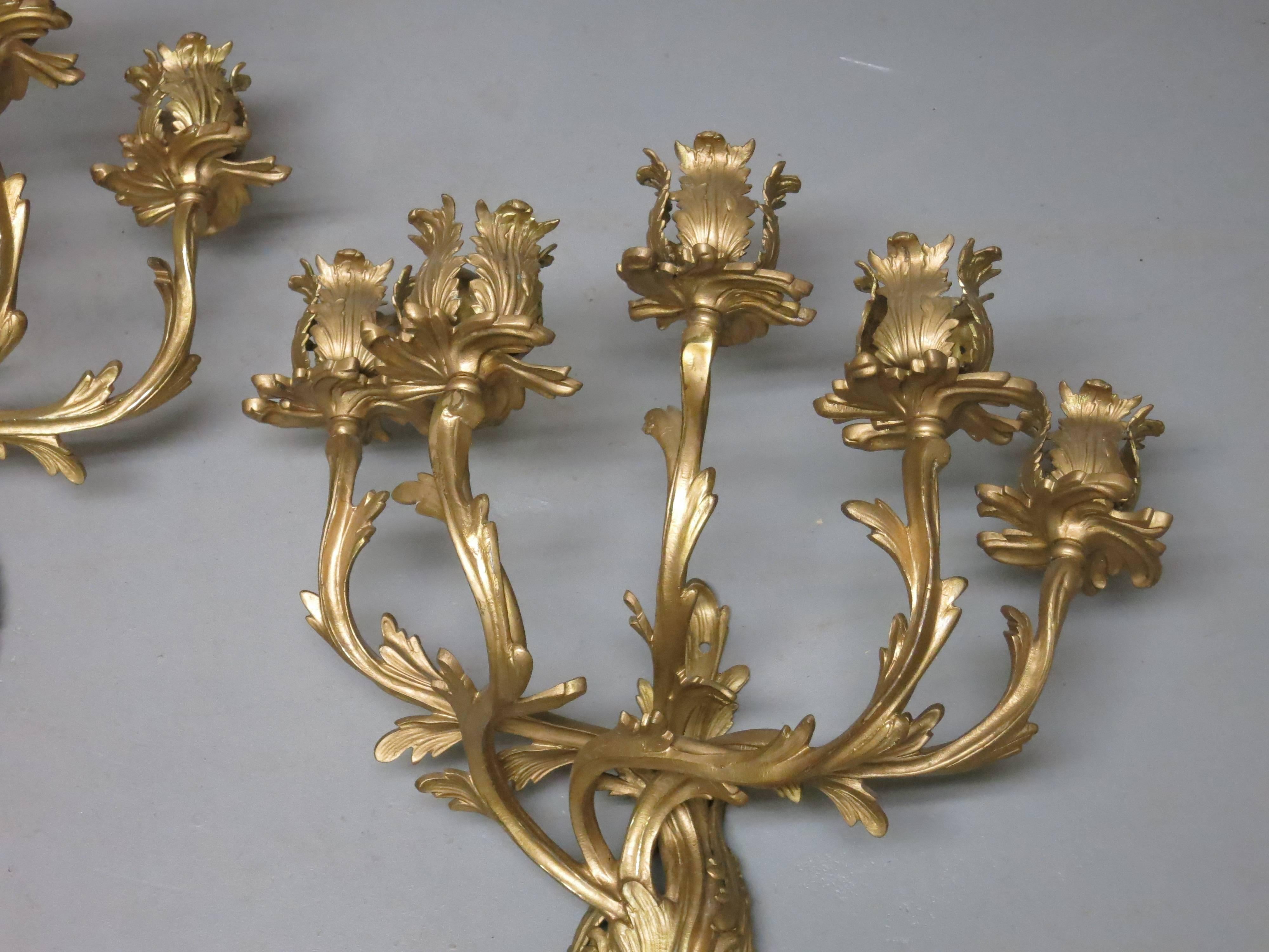 Beautiful pair of gilt French wall sconces. They are matte and polished brass. They need to be wired and fitted with sockets but are worth the effort. Also could be used as candle sconces. They are 19