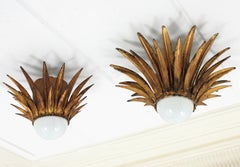 Pair of Gilt Iron Sunburst Starburst Light Fixtures / Flush Mounts, Spain, 1950s