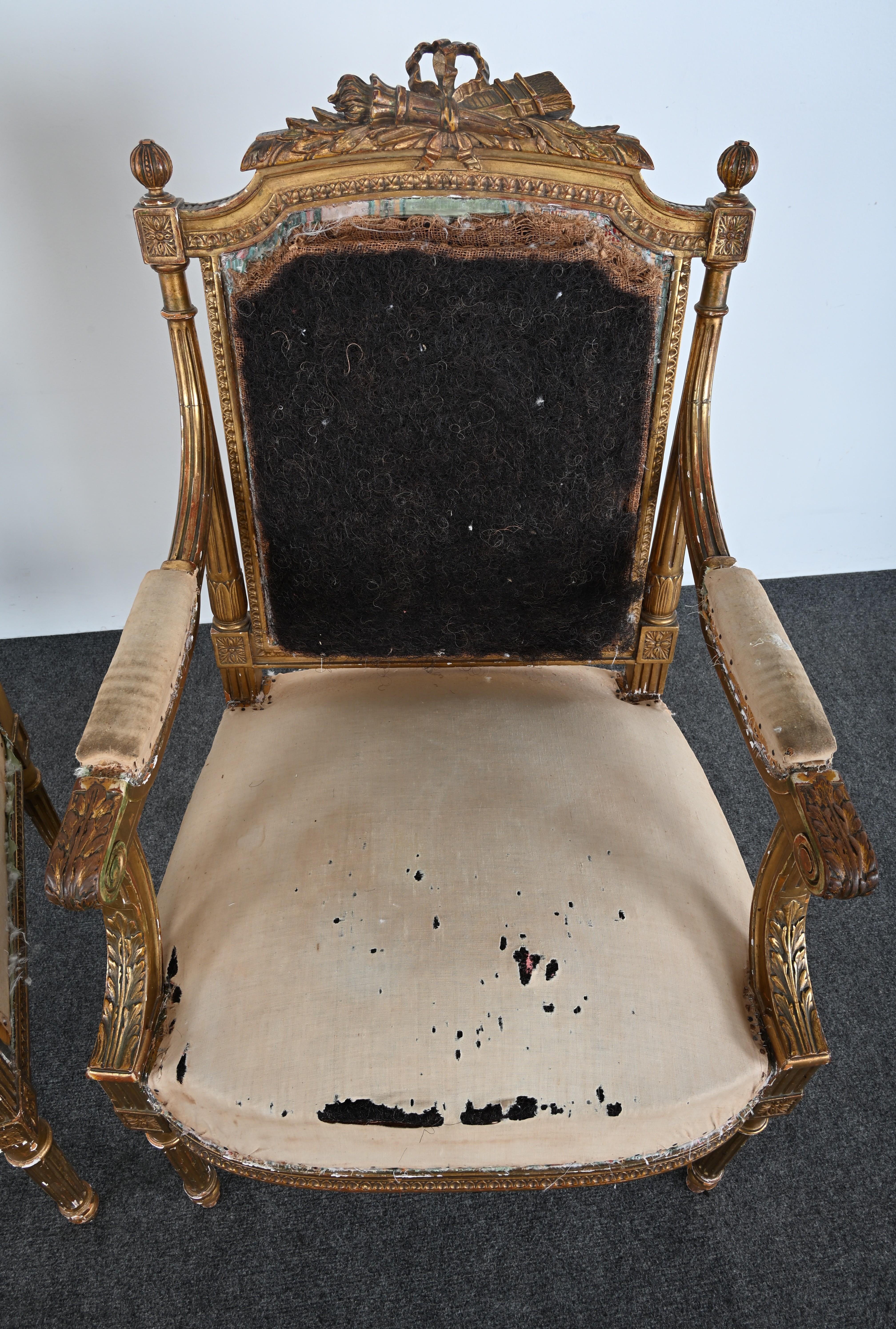 Pair of Gilt Louis XVI French Chairs, circa 1900 For Sale 5