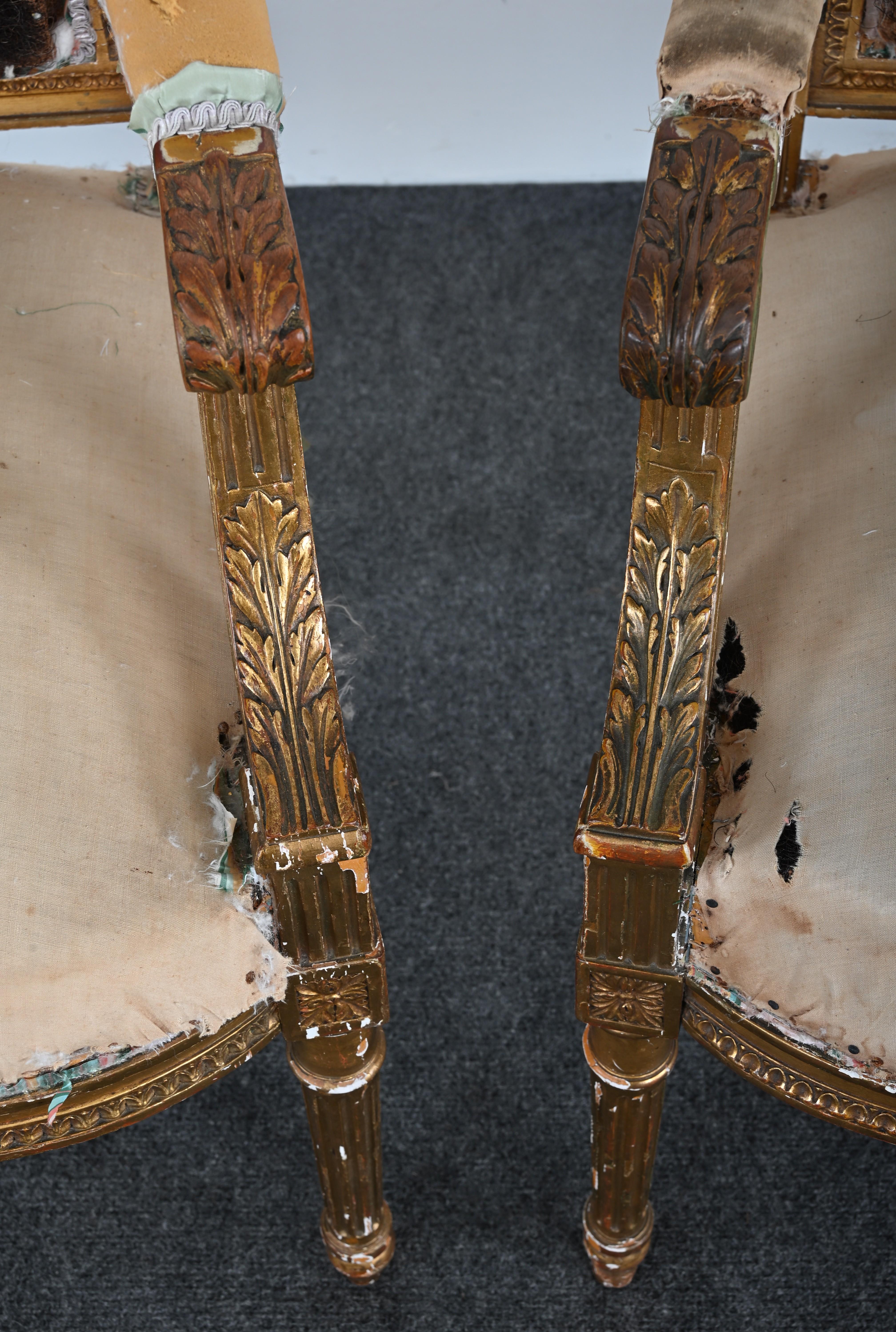 Pair of Gilt Louis XVI French Chairs, circa 1900 For Sale 4