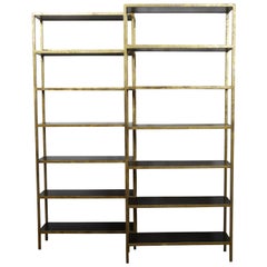 Pair of Gilt Metal Shelves from the Midcentury with Ebonized Wood Accents