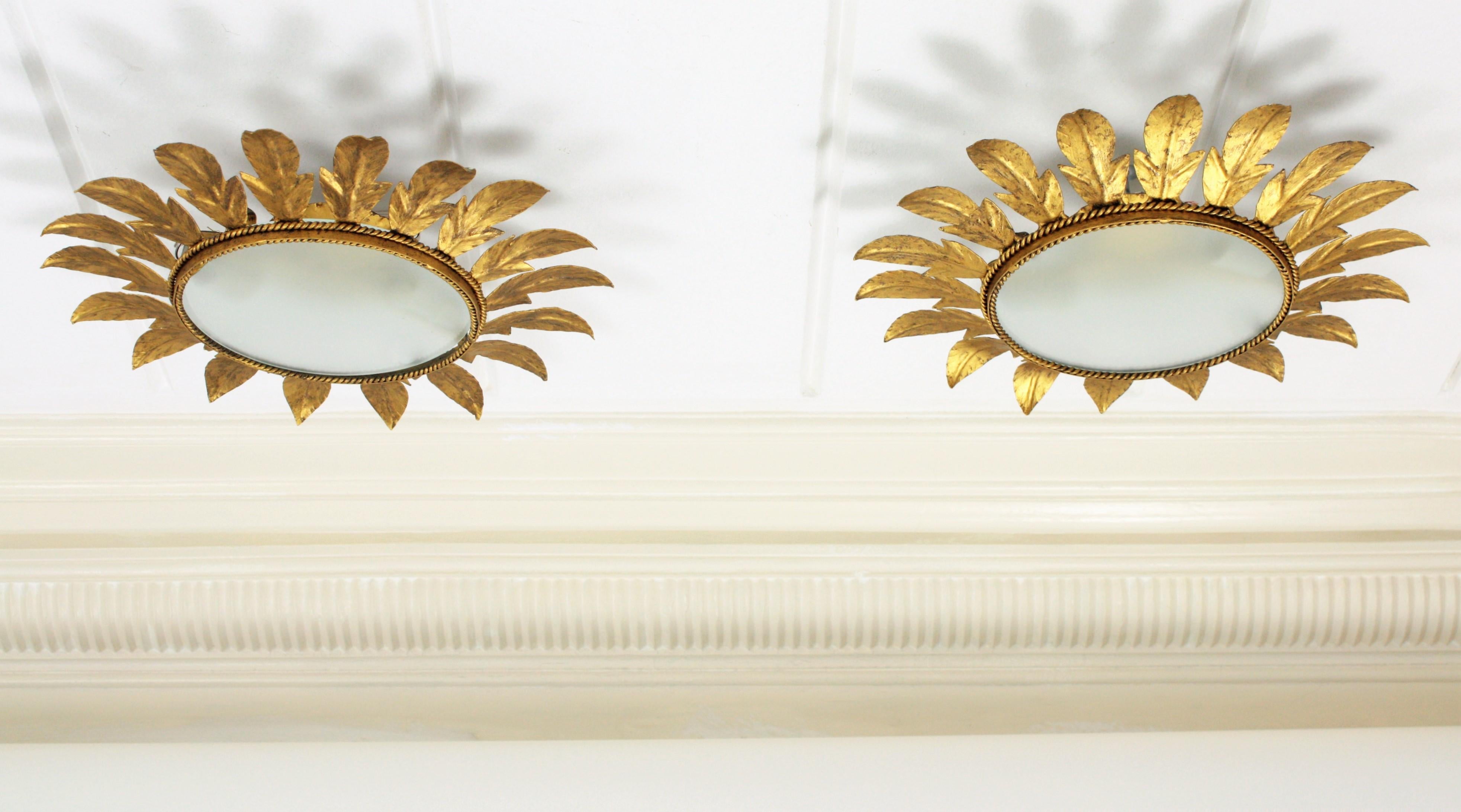 A lovely pair of hand-hammered gilt iron flower sunburst light fixtures with frosted glass difussors. Spain, 1960s.
They can be used as ceiling or wall lights and the frosted glass can be changed by a mirror glass to be used as mirrors.
Measures: 45