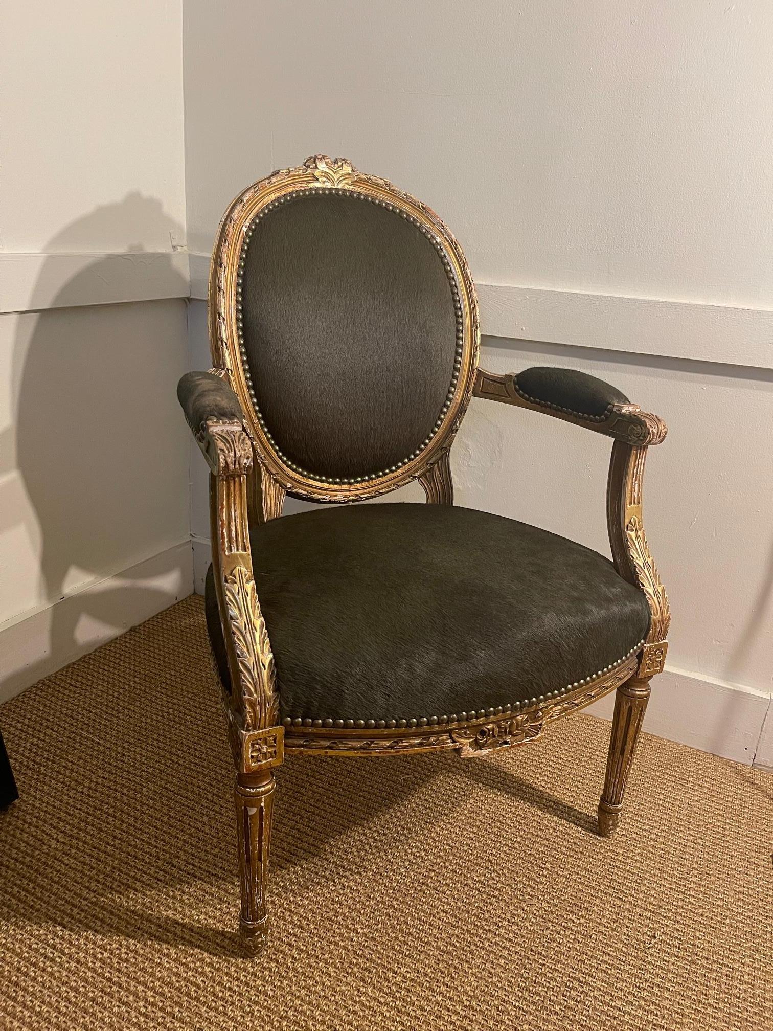 Wonderful carved Louis XV chairs with a gilt finish and hair-on-hide covering.