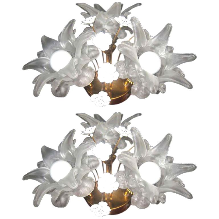 Pair of Glass & Brass Flower Sconces For Sale