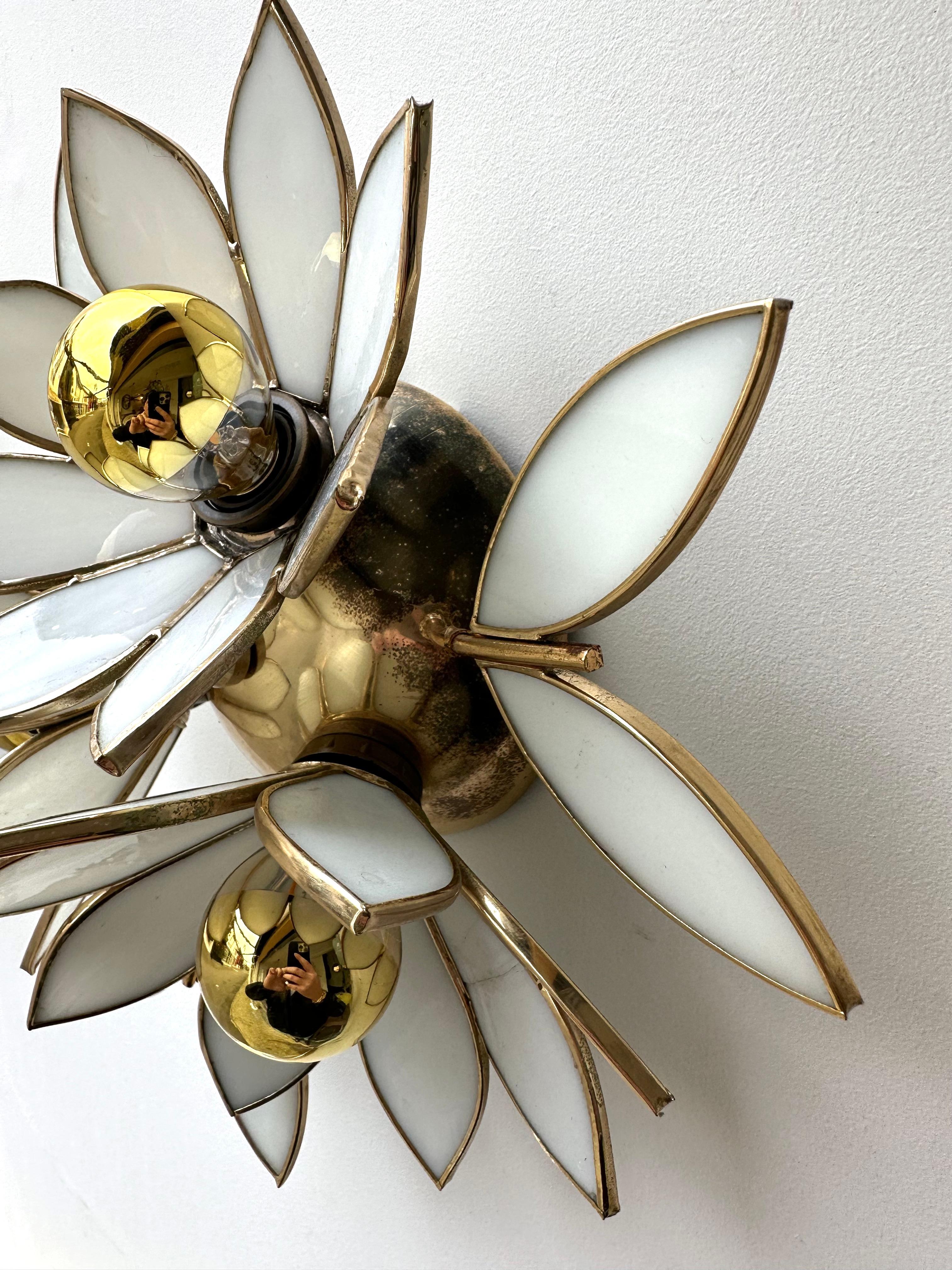 Pair of Glass Flowers and Brass Sconces, Italy, 1970s 4