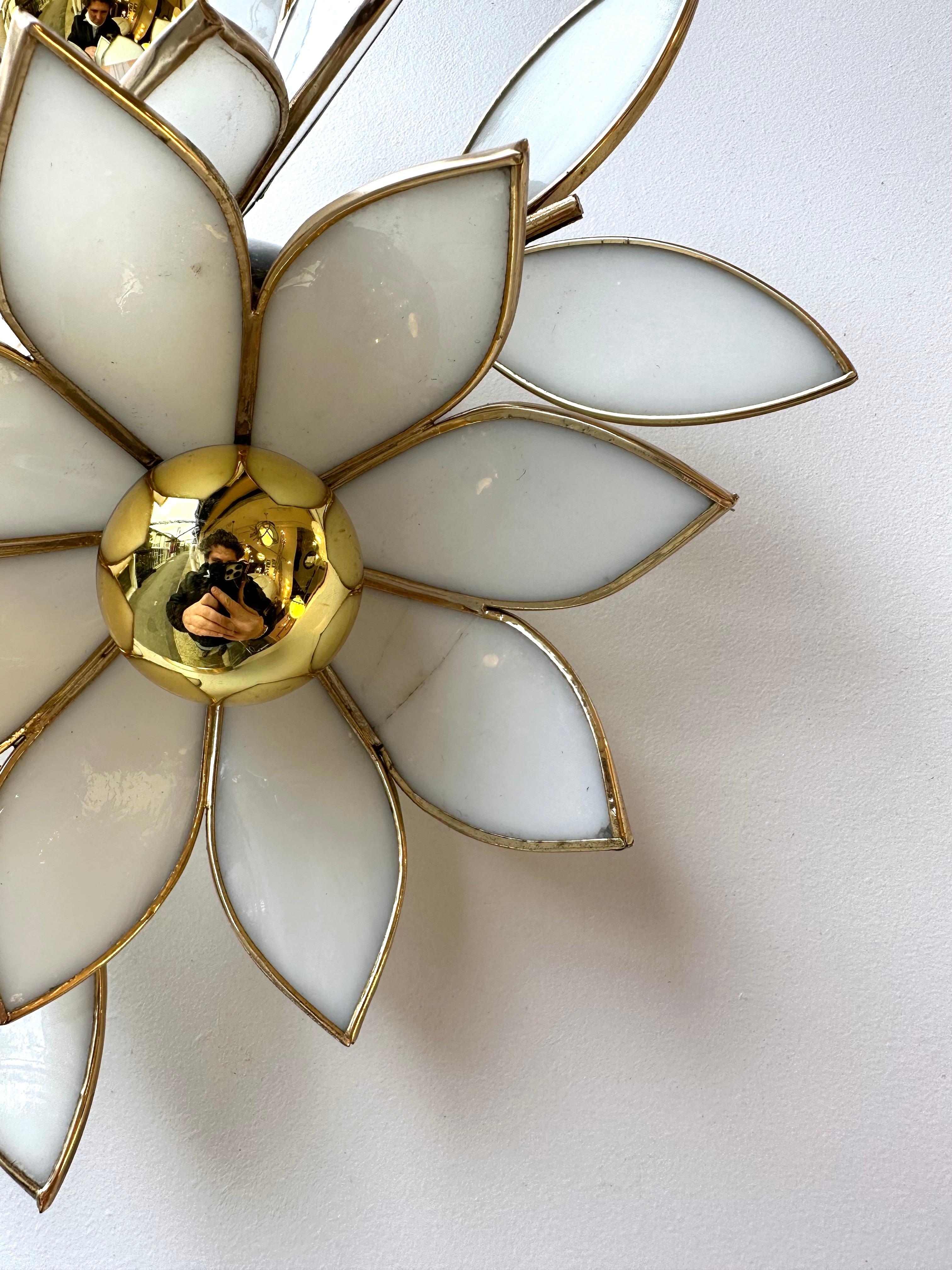 Pair of Glass Flowers and Brass Sconces, Italy, 1970s 6