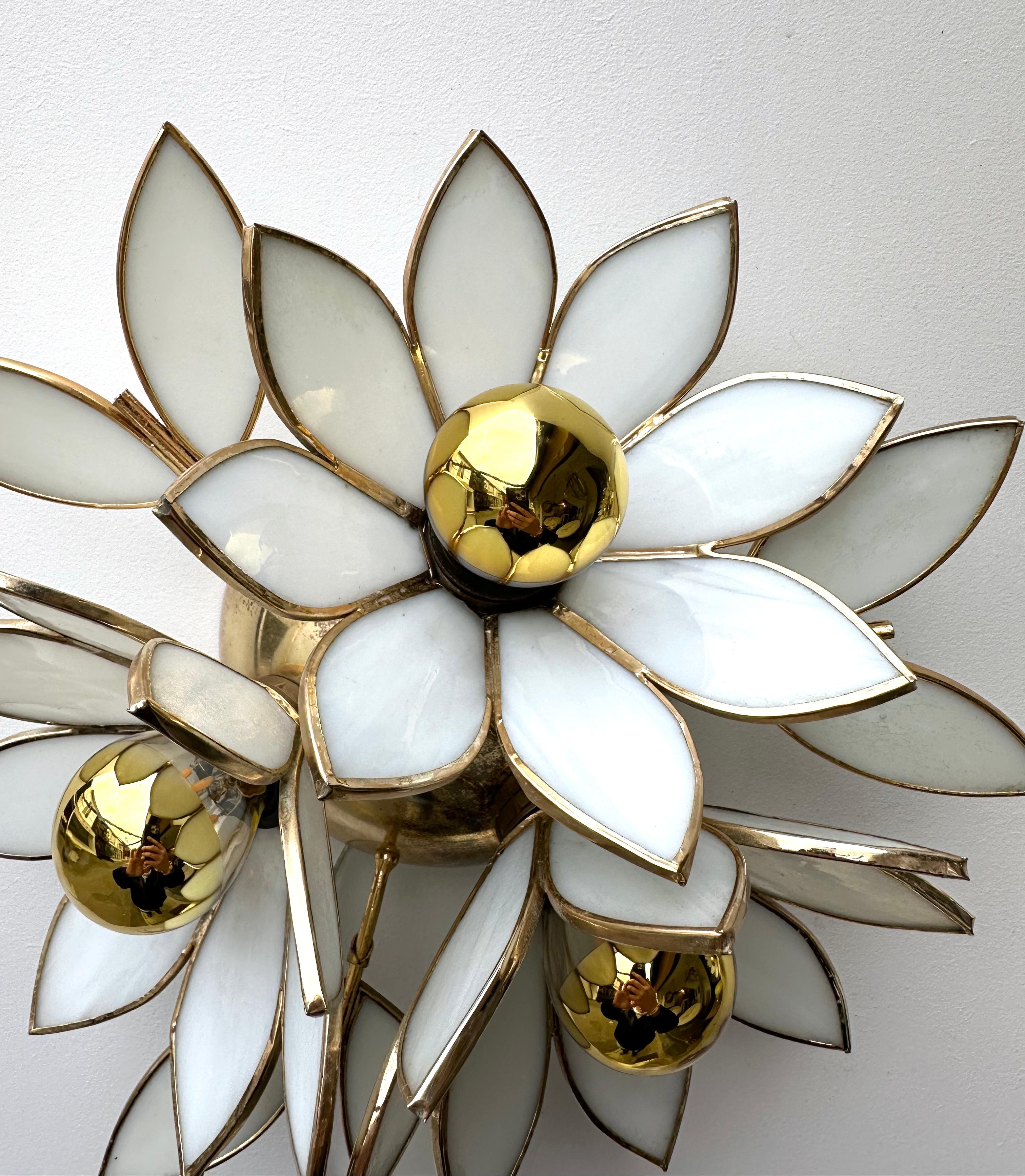 Mid-Century Modern Pair of Glass Flowers and Brass Sconces, Italy, 1970s