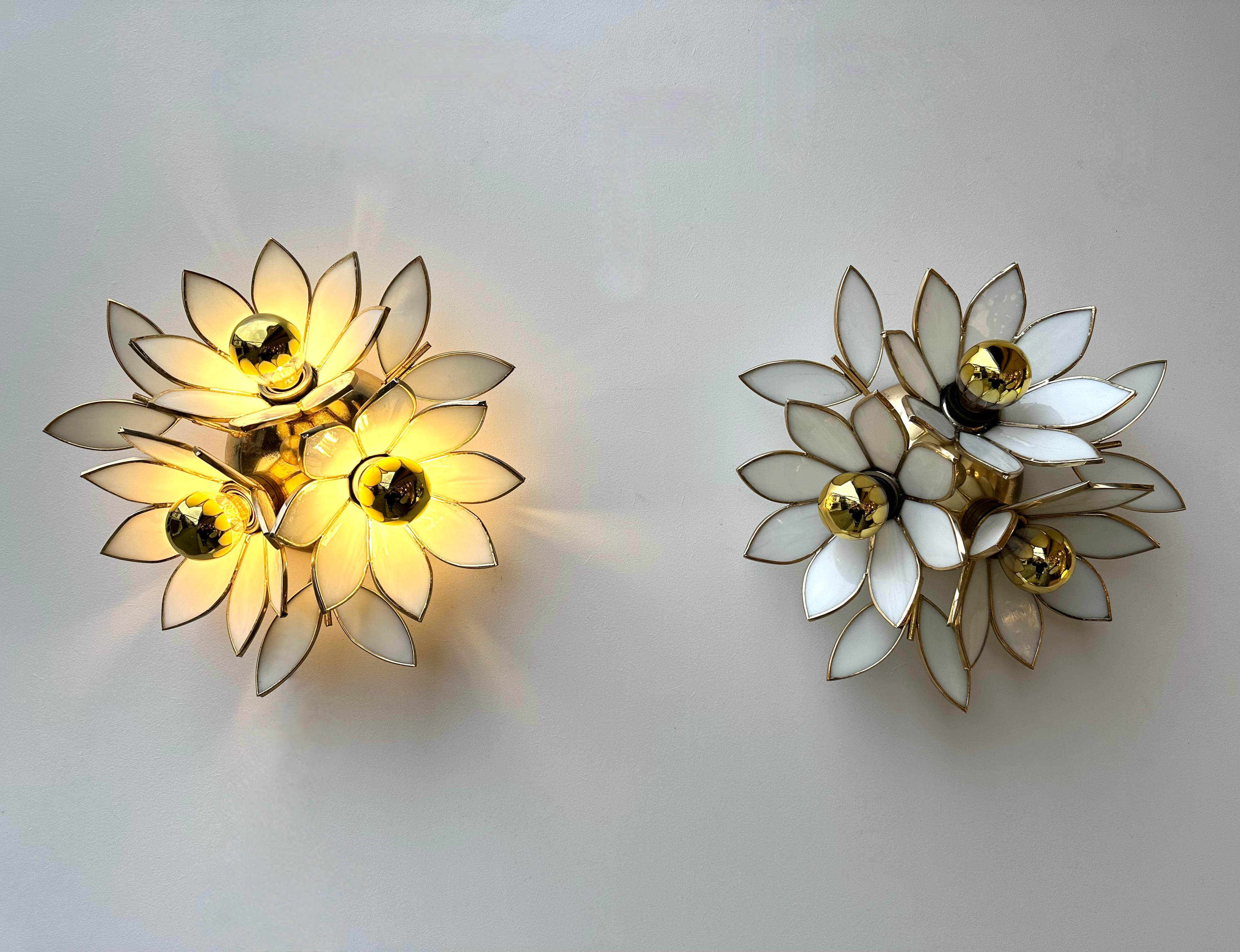 Italian Pair of Glass Flowers and Brass Sconces, Italy, 1970s