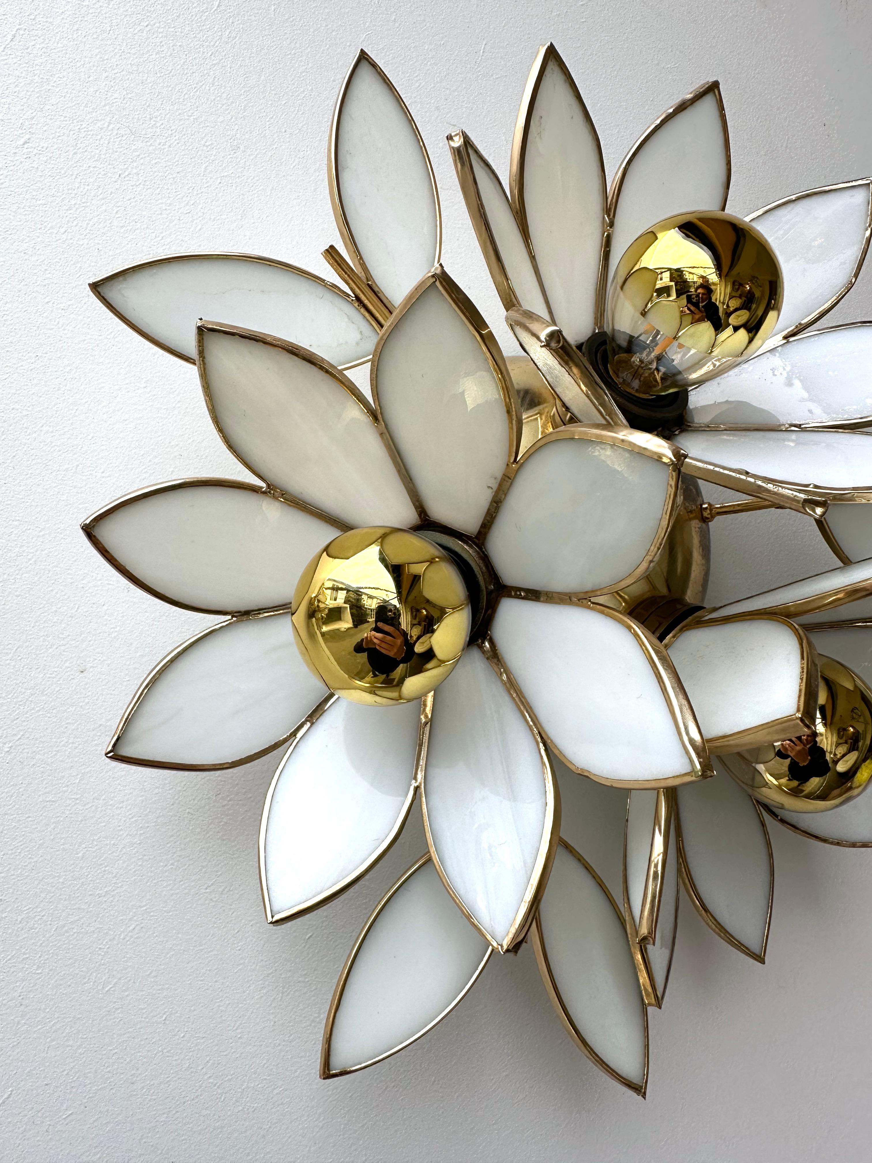Pair of Glass Flowers and Brass Sconces, Italy, 1970s 1