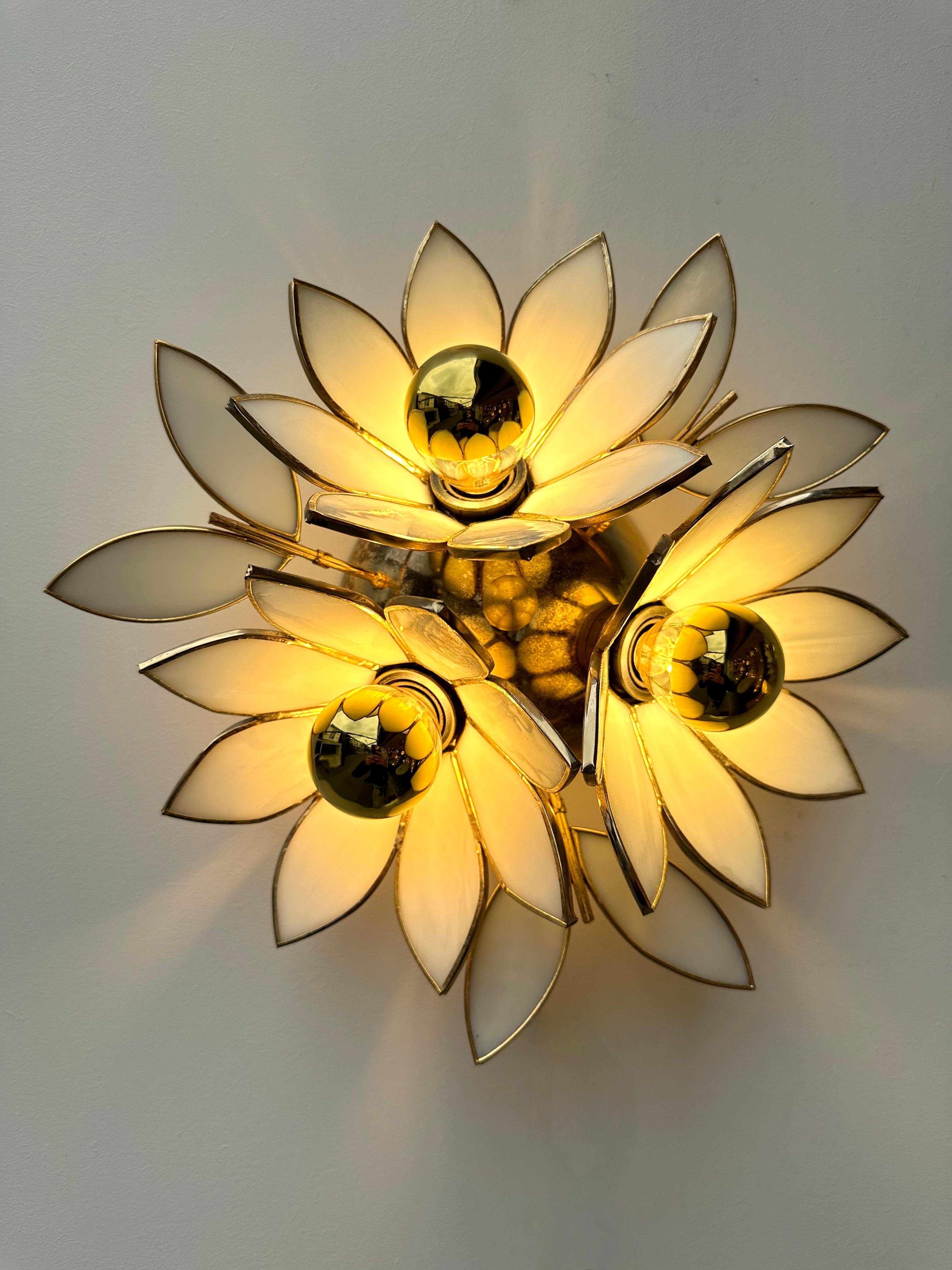 Pair of Glass Flowers and Brass Sconces, Italy, 1970s 2