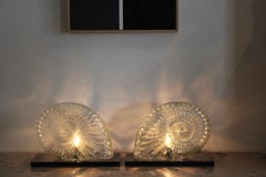 Pair of Glass Nautilus Lamps