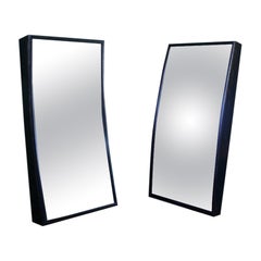 Pair of Glass Optical Distortion Carnival Fairground Mirrors Concave and Convex