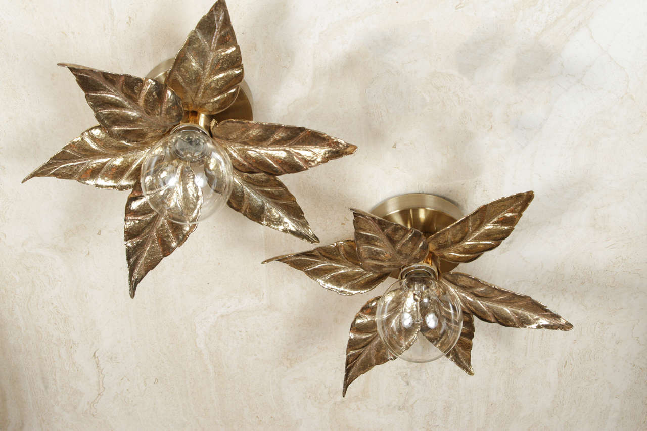 Pair of elegant floral sconces in a Antique polished gold finish with a single centre light source. ( 3 Pairs Available)
