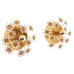 Pair of Gold-Plated Brass and Crystal Glass Wall Lamps Sconces by Palwa, 1960