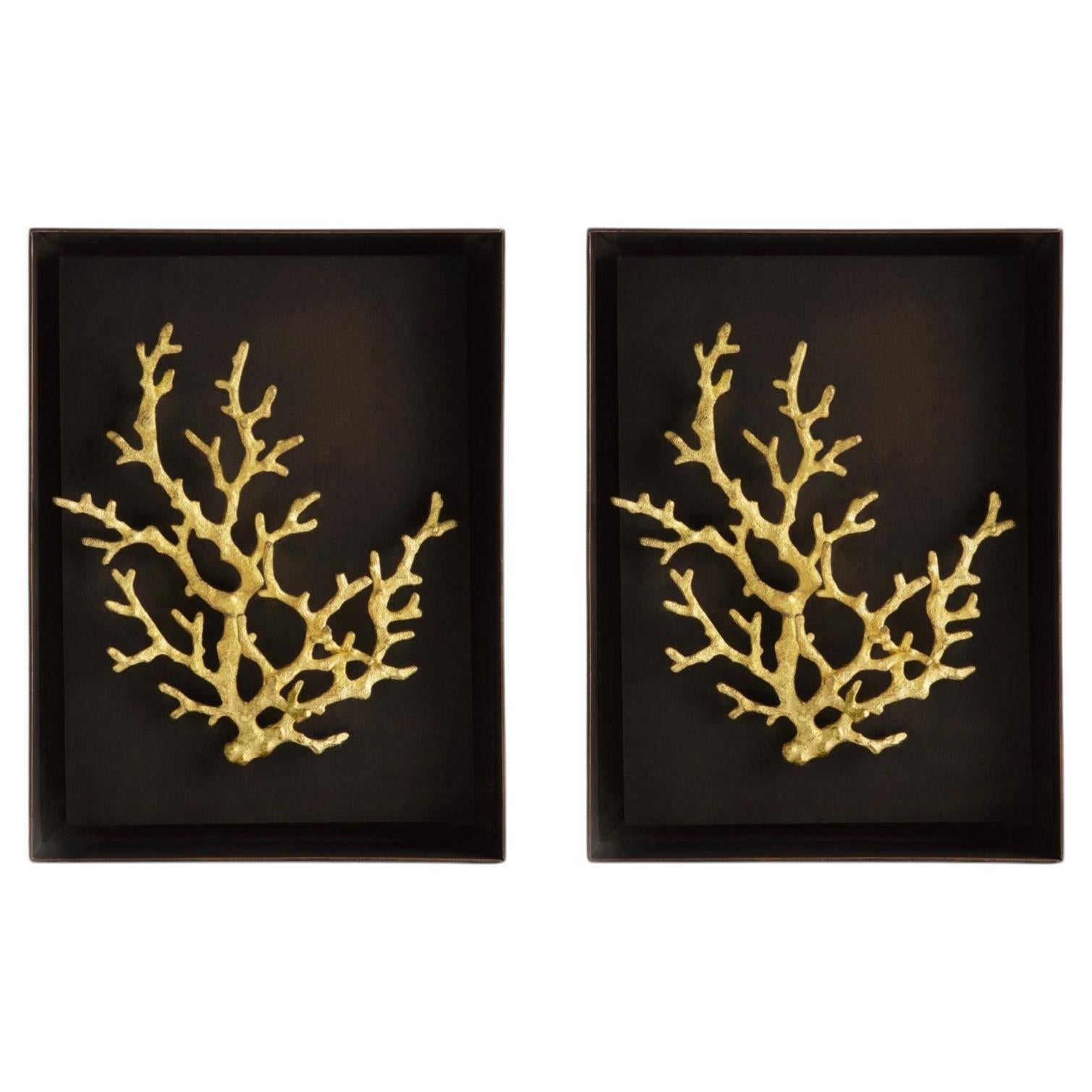 Pair of Black Iris Shadow Boxes in Brass and Aluminum, Contemporary ...