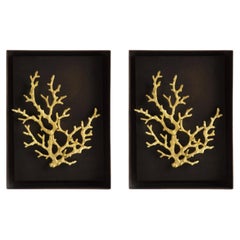 Pair of Golden Ocean Coral Shadow Boxes in Brass and Aluminum Contemporary Style