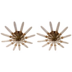 Pair of Golden Sciolari  Crystal 1970s Flush Lights