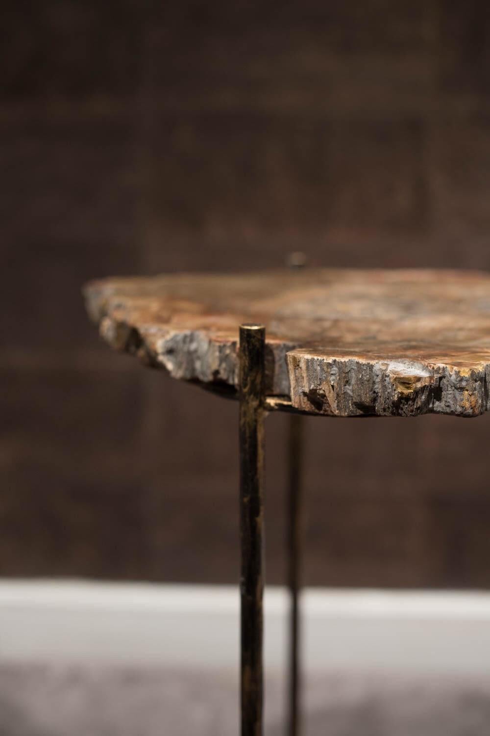 Pair of Italian End Tables with Petrified Wood Tops In Good Condition In Roma, IT