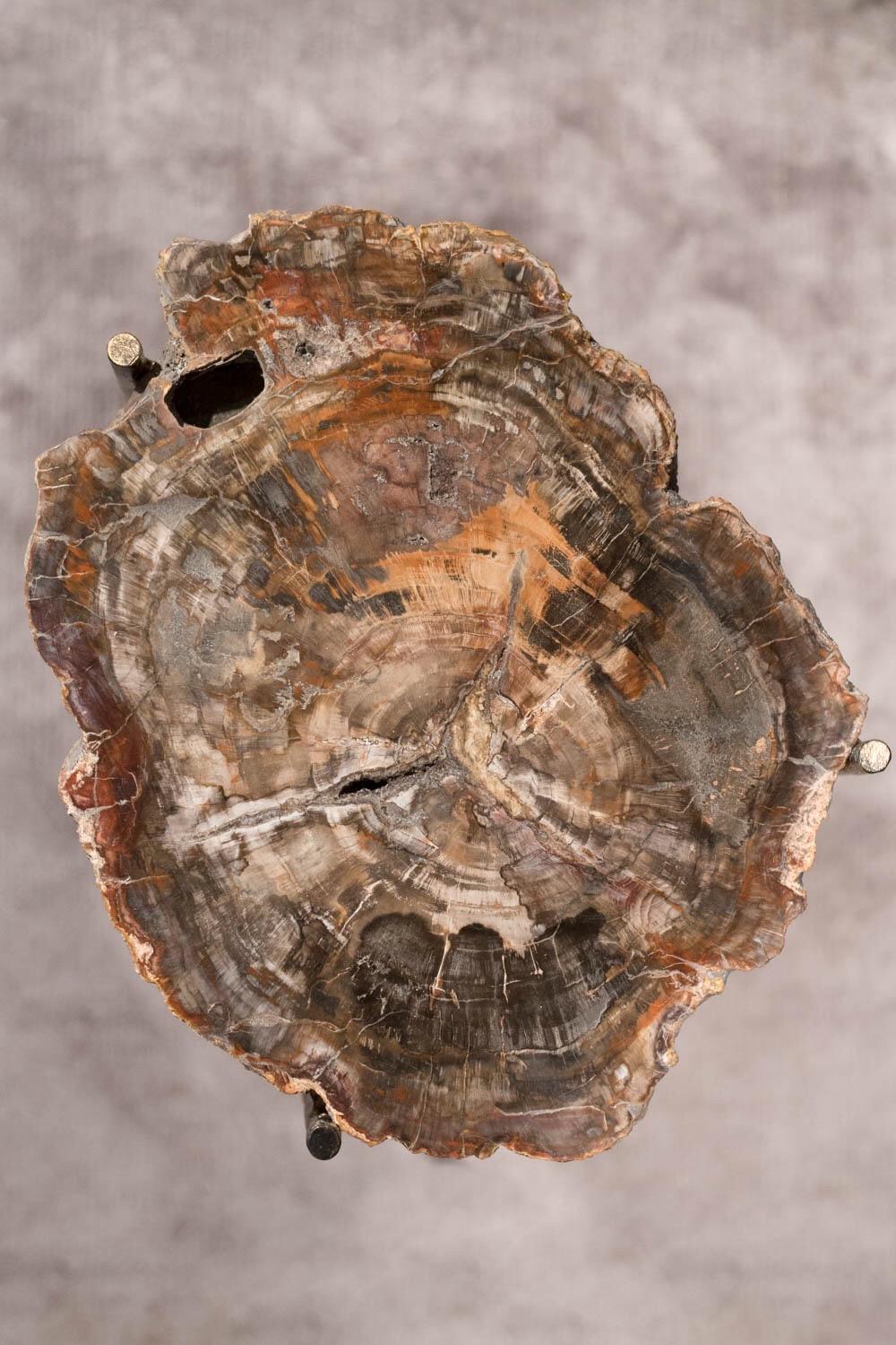 Metal Pair of Italian End Tables with Petrified Wood Tops