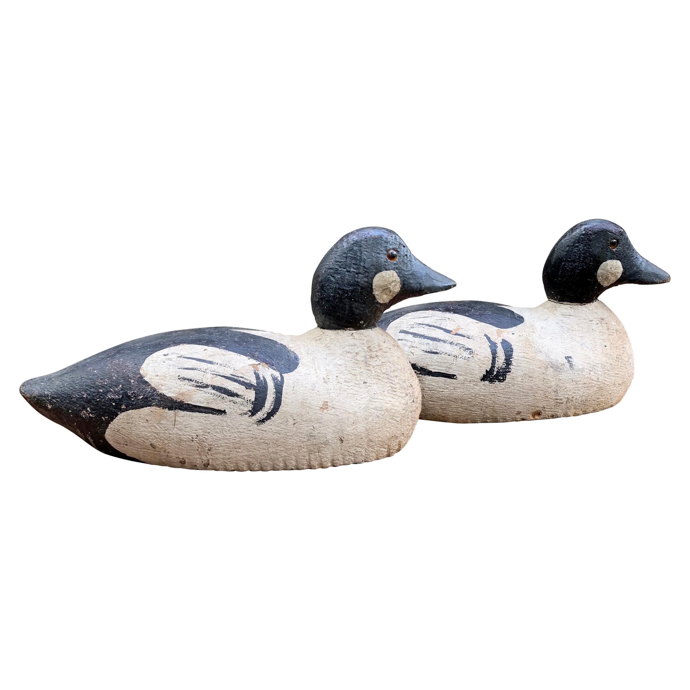 Pair of Goldeneye Duck Decoys