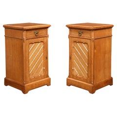 Pair of Gothic Revival Bedside Cabinets