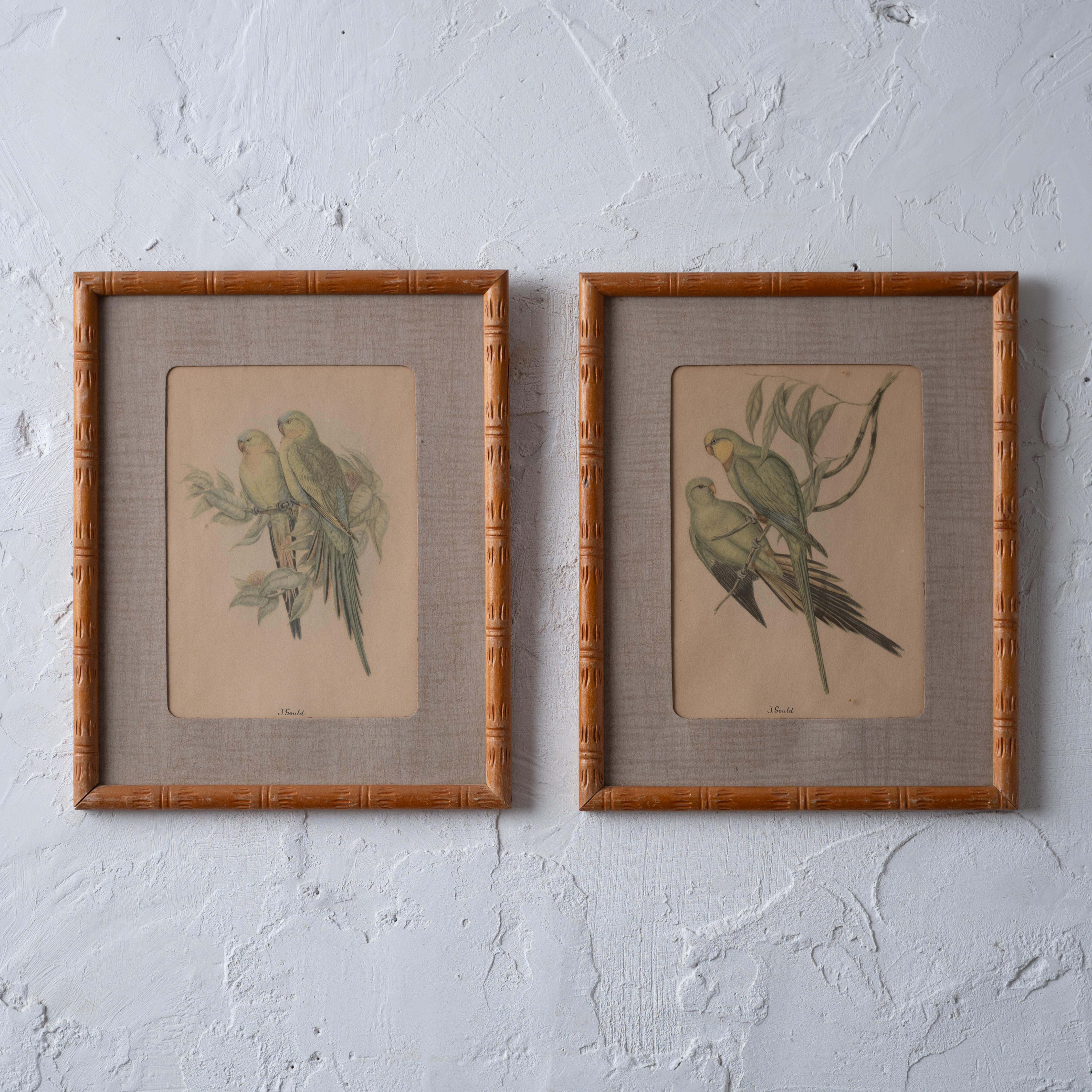 Coppia di stampe decorative di uccelli Gould di Lambert Products, anni '40.  Le stampe sono incorniciate in cornici vintage in finto bambù dai toni neutri.  



vista: 5 x 7 pollici

cornice: 8 ¾ per 10 ¾ pollici



Buono con imperfezioni e