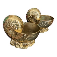 Planters, Cachepots and Jardinières