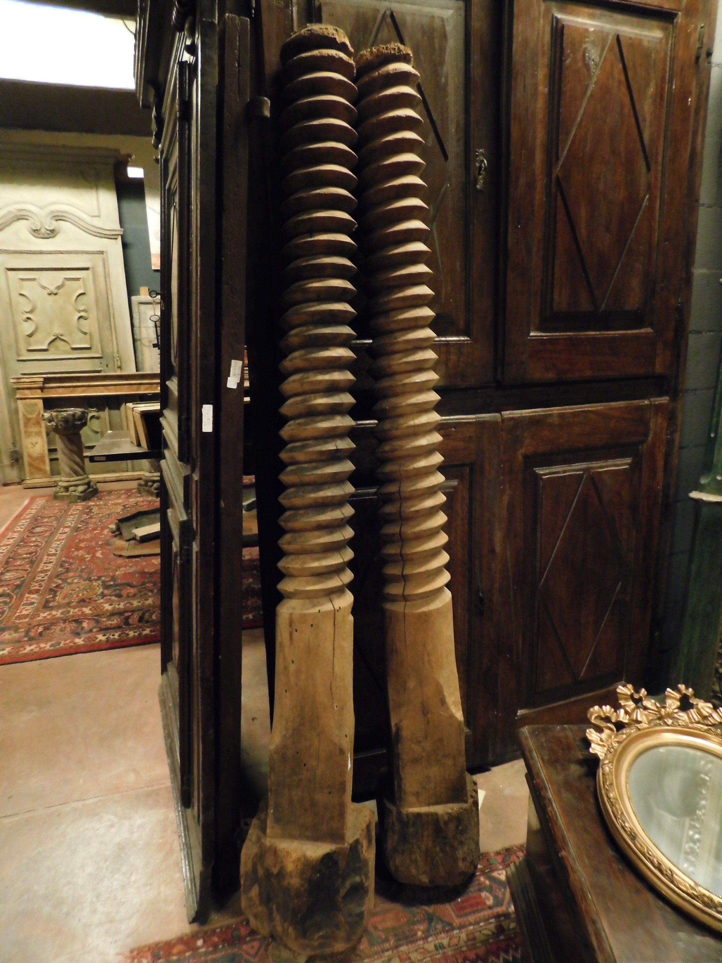 Pair of grape press elements, made of light wood, spiral shape, ideal as decoration in corners of the house, in a wine industry, wine bar, or stimulating the creativity of architects (they may have ornaments, beds, columns, ... built in the 1900s in