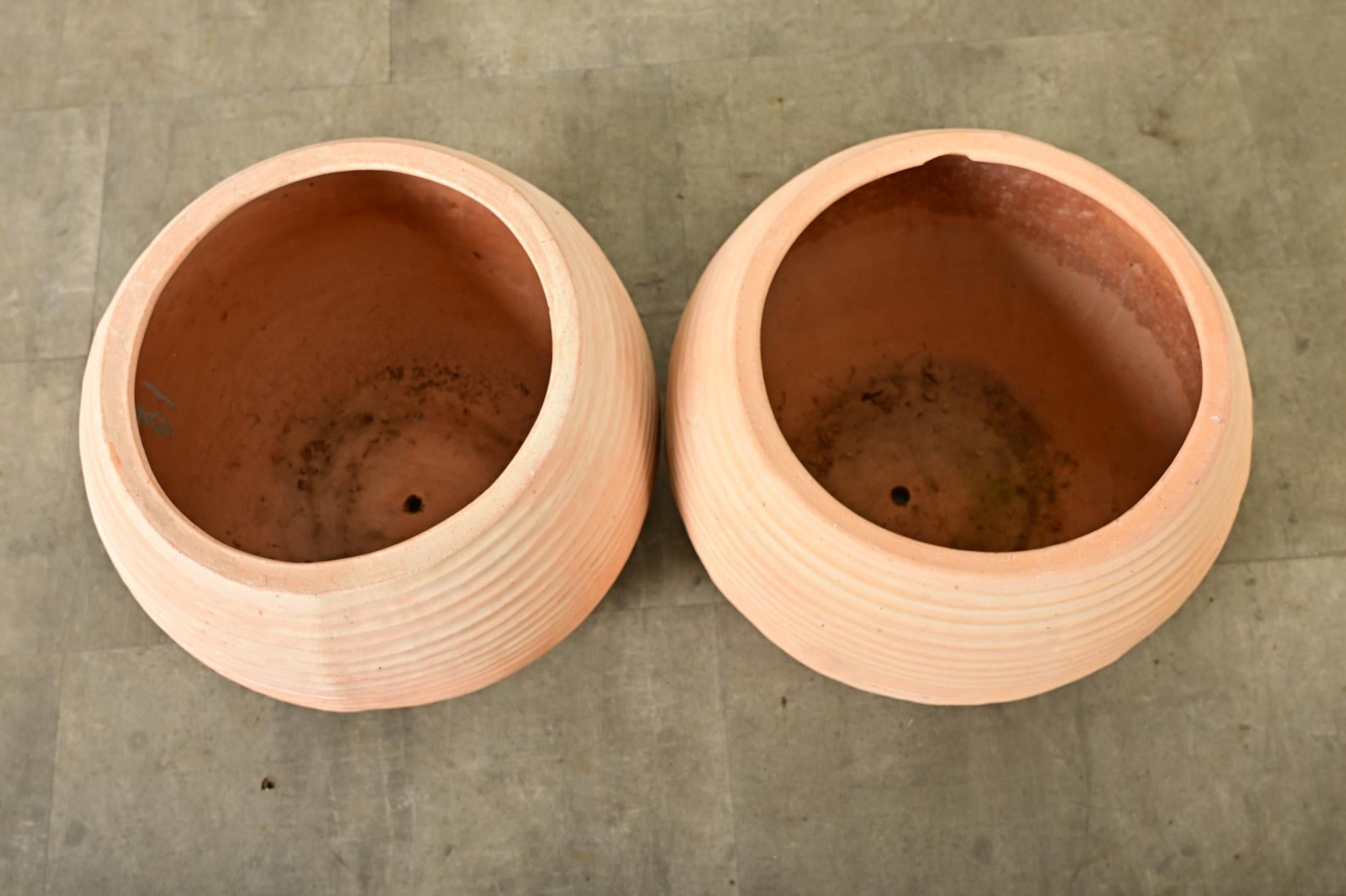 XXI secolo e contemporaneo Coppia di vasi in terracotta di riproduzione greca in vendita