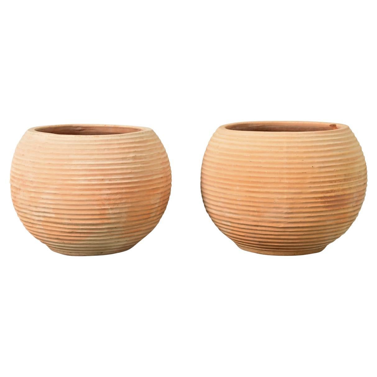 Coppia di vasi in terracotta di riproduzione greca