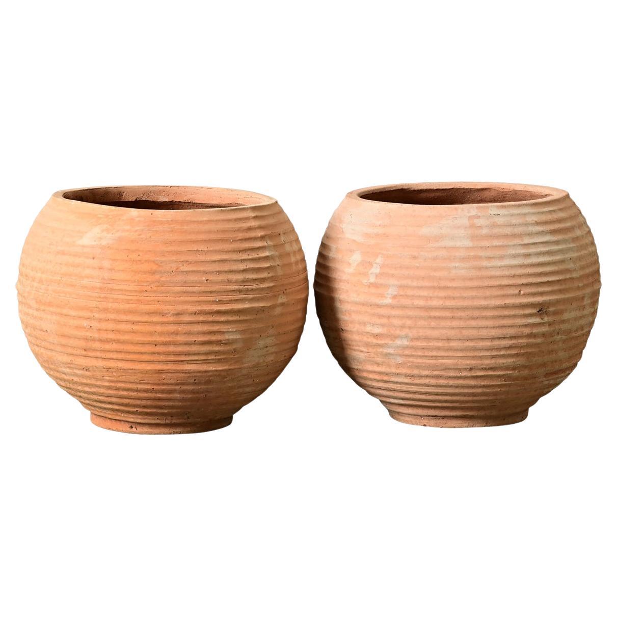 Paire de pots de reproduction grecque en terre cuite