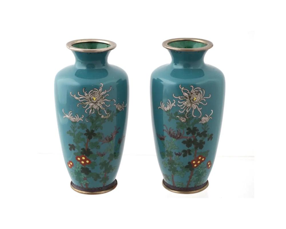 A pair of antique Japanese, late Meiji period, enamel vases. Each vase has an urn shaped body and a wide fluted neck. The ware is enameled with a polychrome image of blossoming Chrysanthemum and other flowers on the turquoise ground made in the