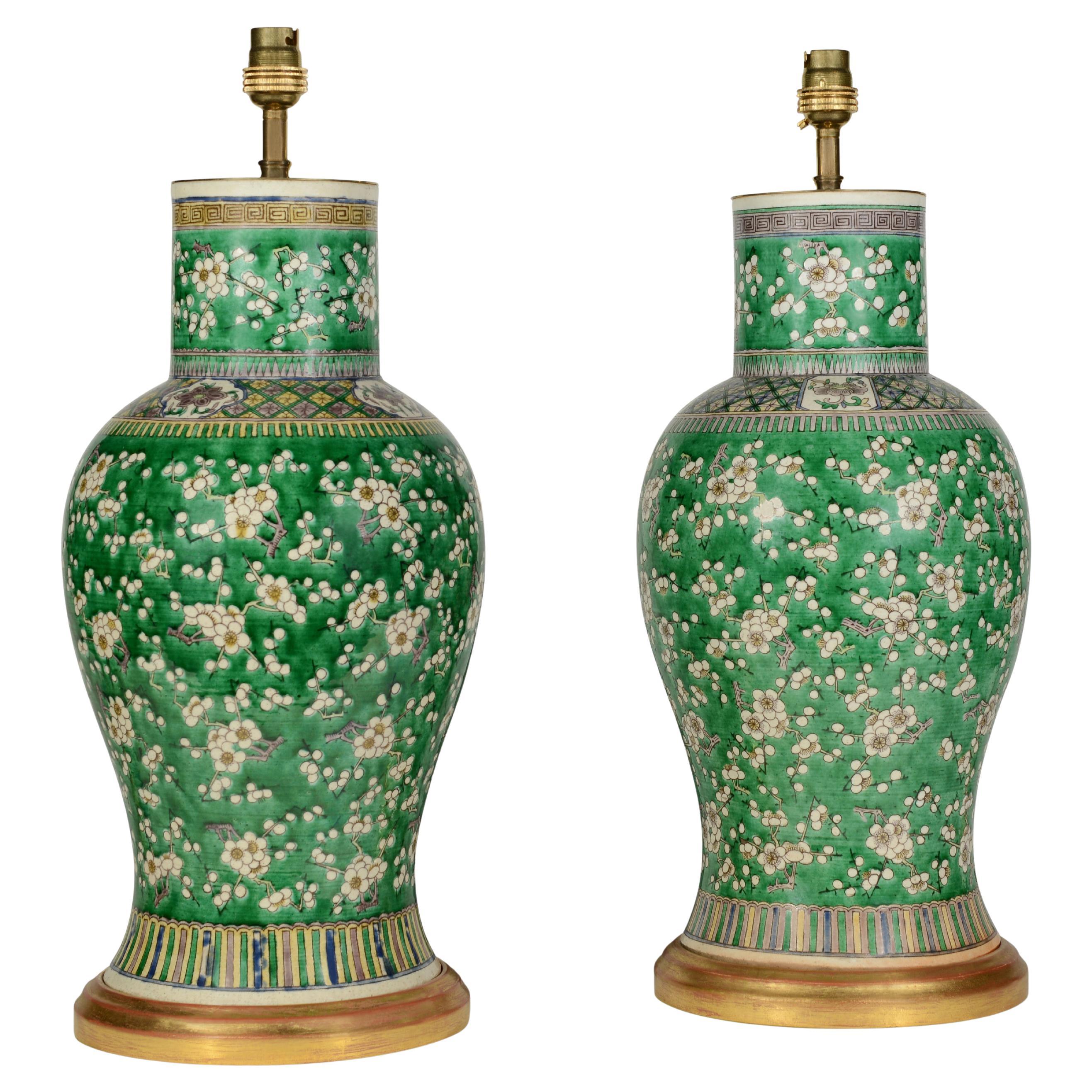 Pair of Green Blossom 19th Century Chinese Antique Table Lamps For Sale