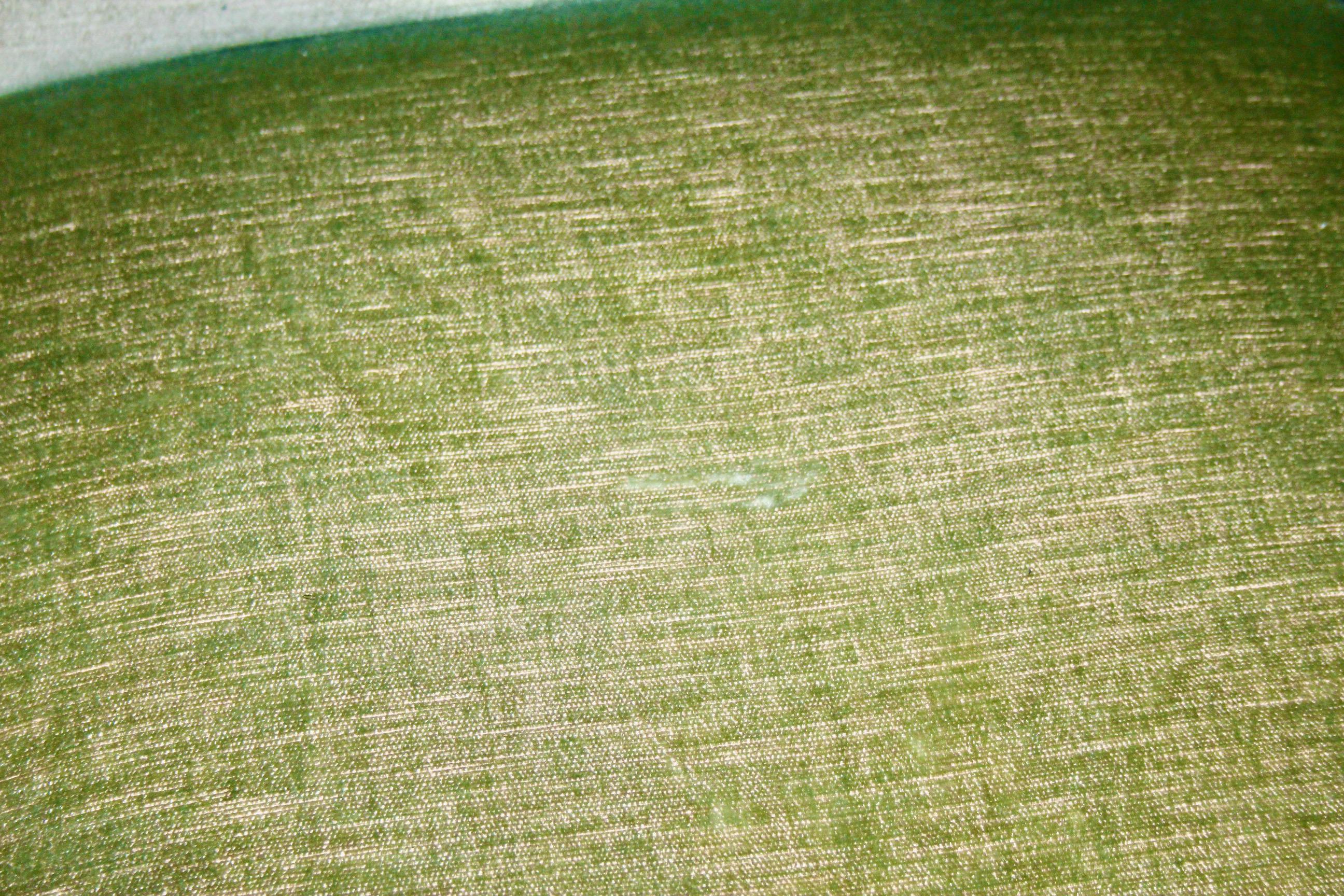 XVIIIe siècle Paire de fauteuils Louis XV peints de couleur verte en vente