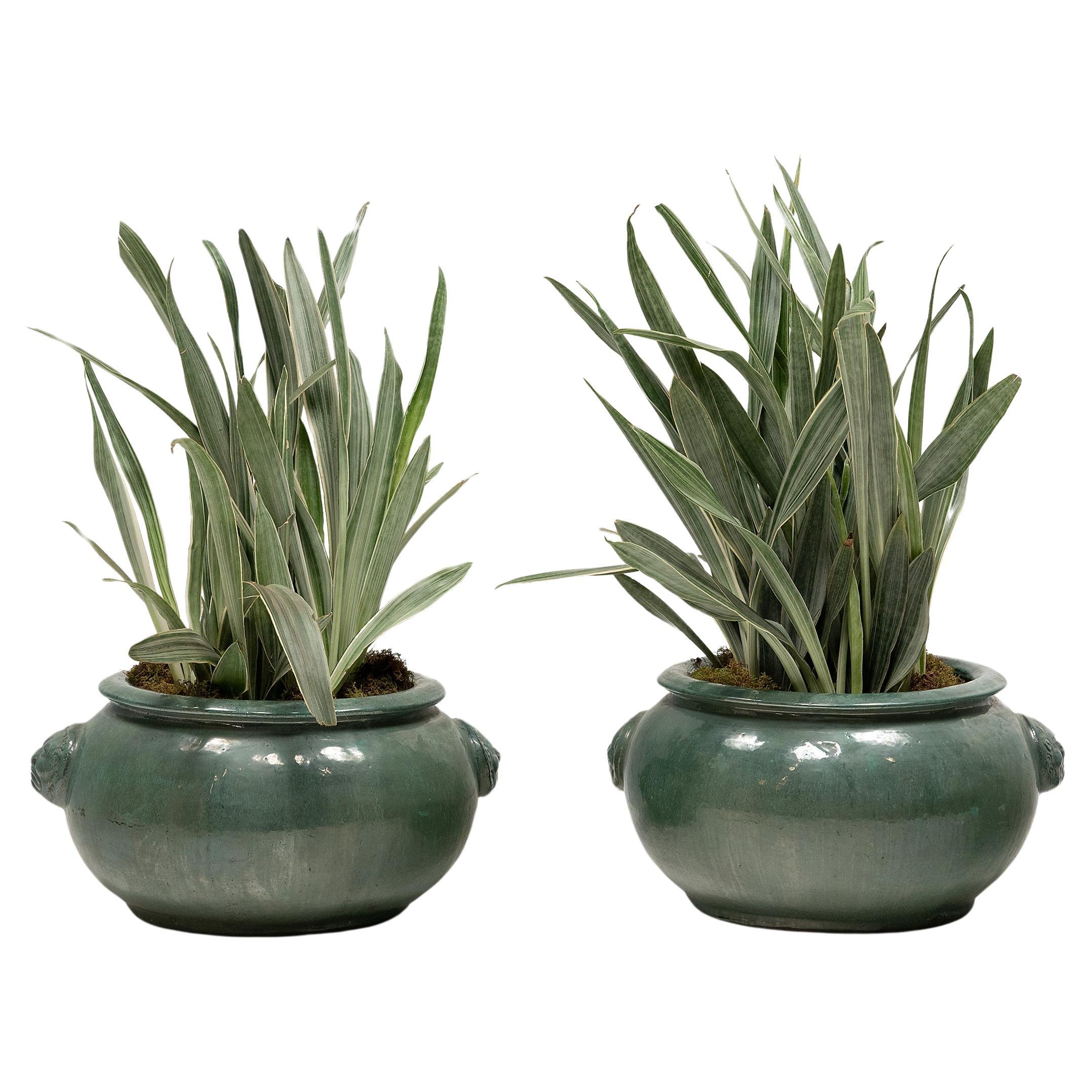 Pair of Green Glazed Chinese Planters For Sale
