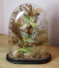Pair of Green Taxidermy Birds in Victorian Glass Domed Case
