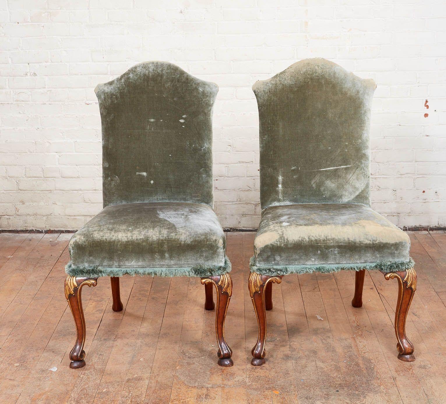 Fine pair of George I style walnut and parcel gilt side chairs, the over upholstered seats below arched backs and standing on carved cabriole legs with gilt knees and standing on scrolled feet with gilt edges, the chairs currently upholstered in