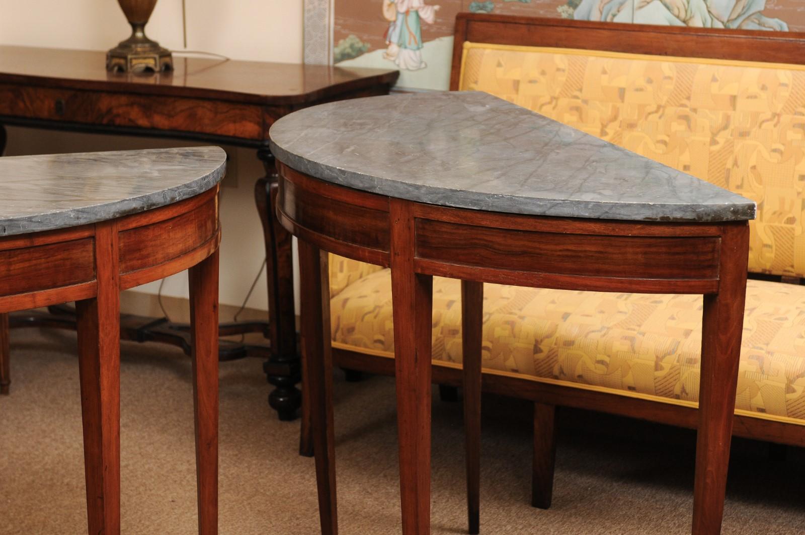 Pair of Grey Marble Top Fruitwood Demilune Console Tables, Late 19th Century 9