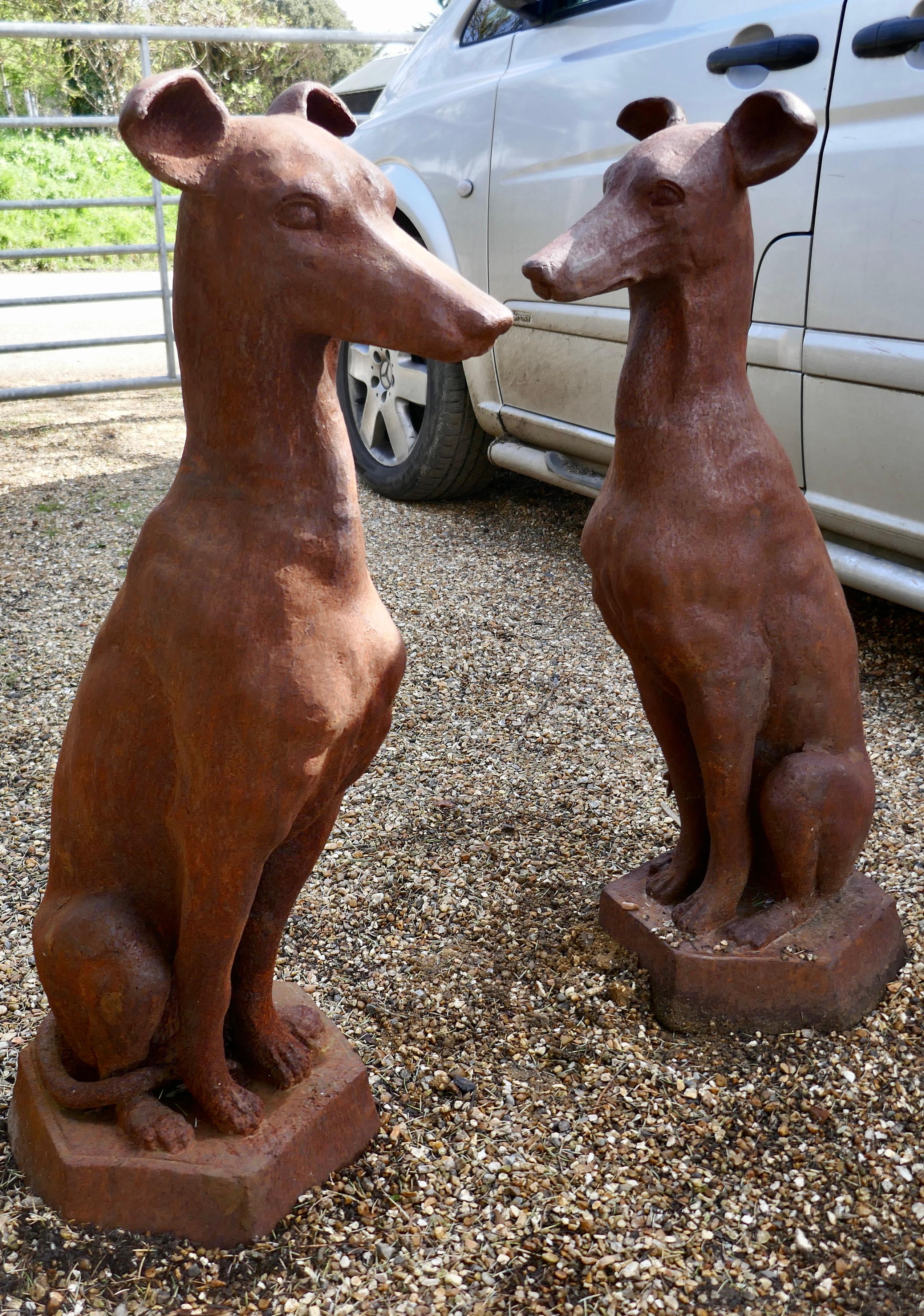 Pair of  Greyhound Guard Dogs, Natural Rust Weathered in Cast Iron 

This Super pair of Large Outdoor or Indoor Dogs these chaps have a good rusty outdoor patina they have been guarding the Front Porch for many years with their tails curled around