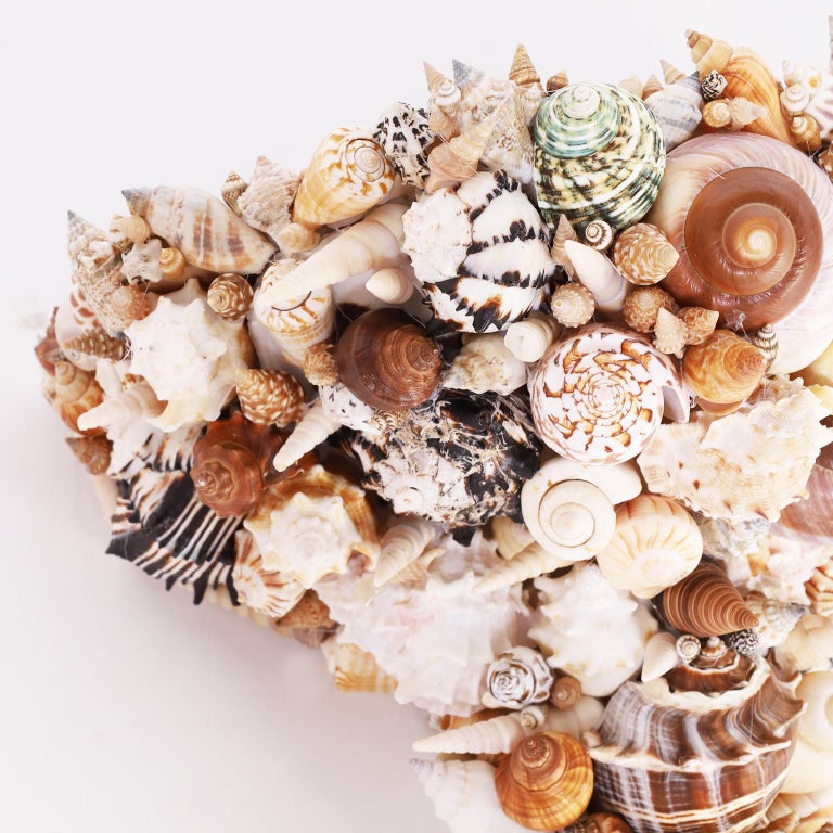 Pair of Grotto Seashell Encrusted Wall Brackets at 1stDibs